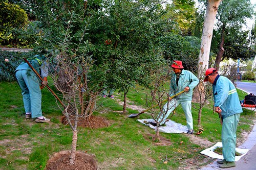園林綠化養護